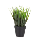 Homla Artificial Potted Plant Erba  19 Cm